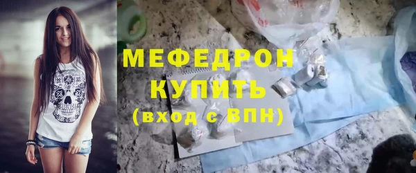 индика Новодвинск