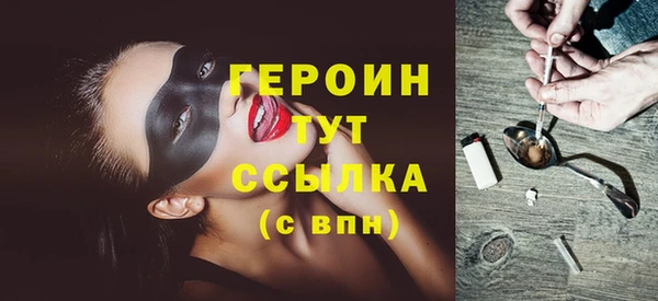 индика Новодвинск