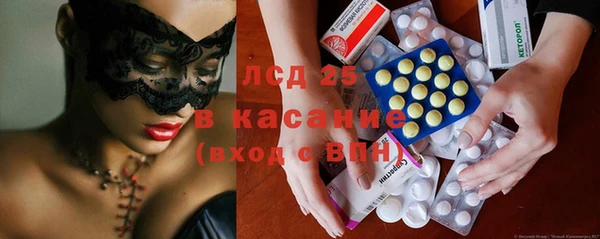 индика Новодвинск