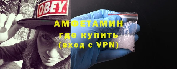 индика Новодвинск