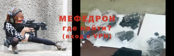 индика Новодвинск