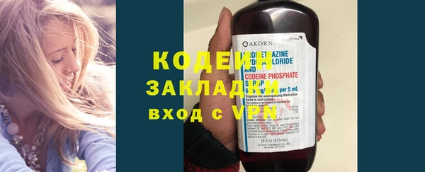 индика Новодвинск