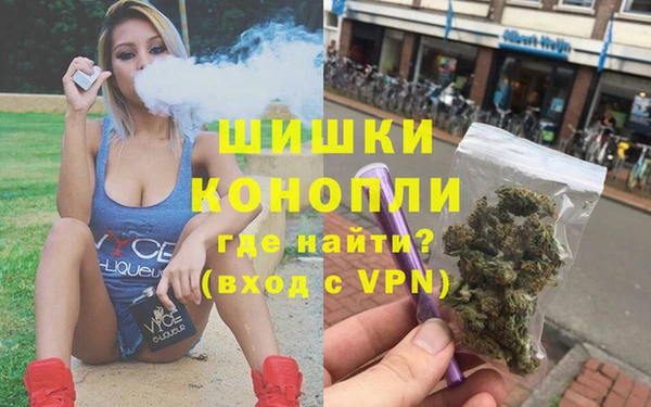 гидропоника Новозыбков
