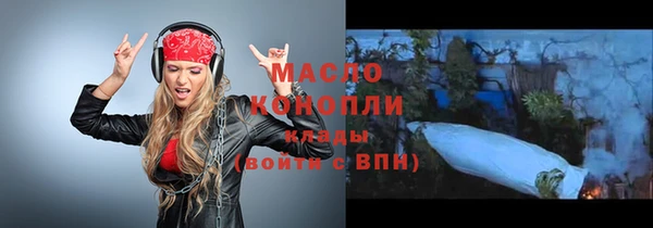 индика Новодвинск