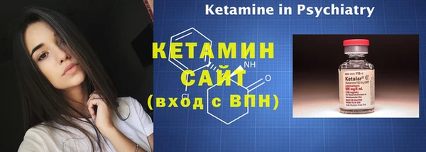 индика Новодвинск