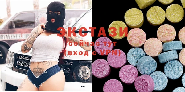 индика Новодвинск