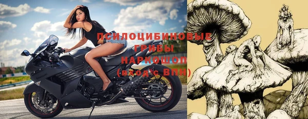 индика Новодвинск