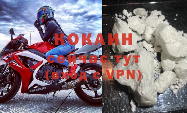 индика Новодвинск
