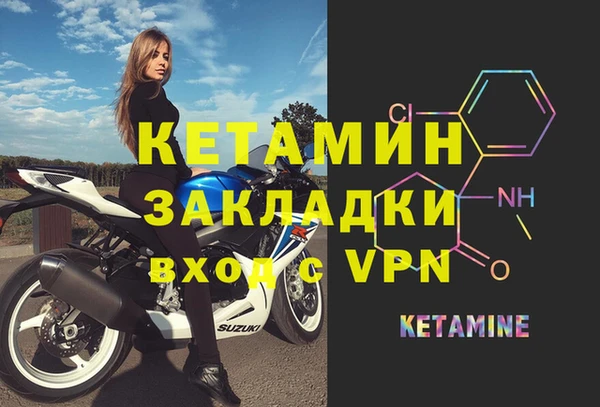 индика Новодвинск