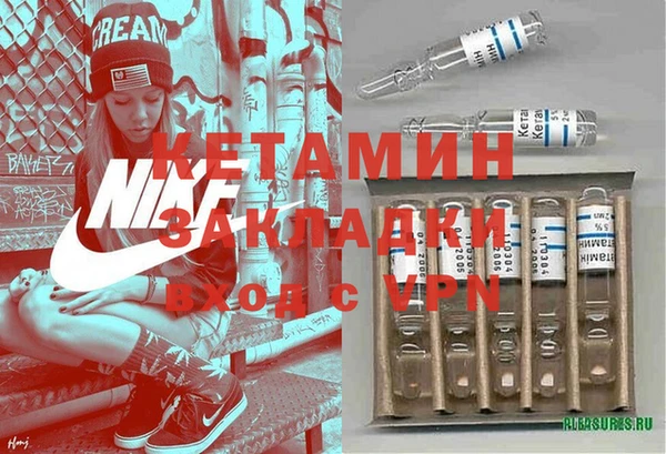 индика Новодвинск