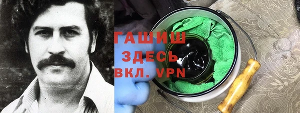 индика Новодвинск