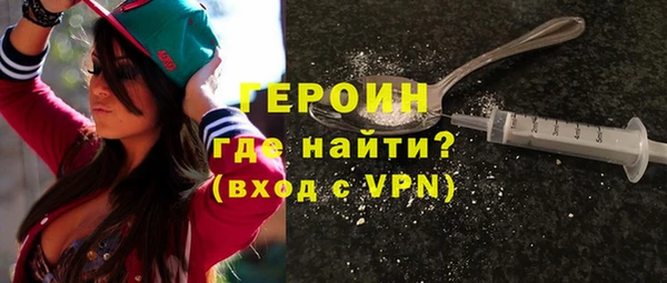 индика Новодвинск