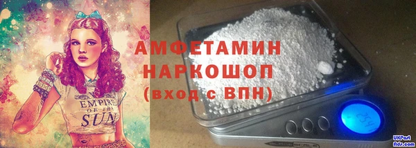 индика Новодвинск