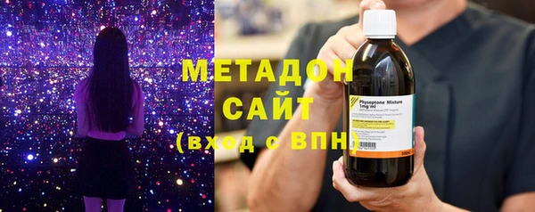 индика Новодвинск