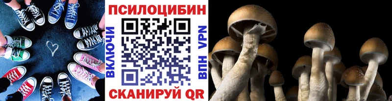 Галлюциногенные грибы мухоморы  Купить где  Семёнов 
