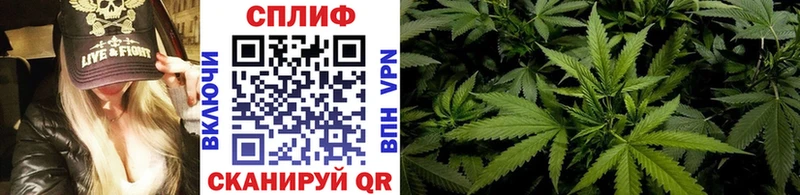 Марихуана OG Kush  Купить где  Семёнов 